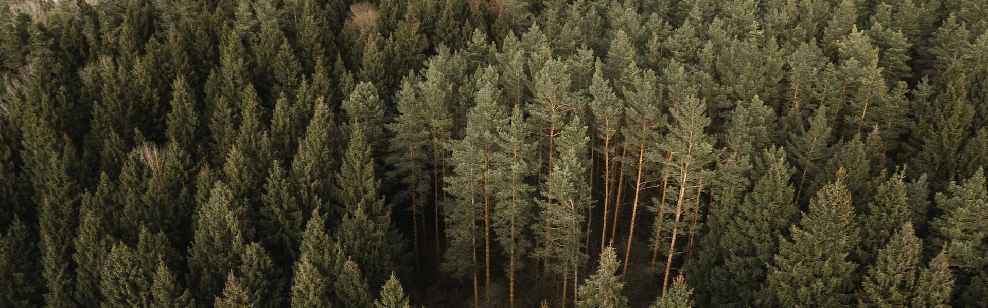 Cup of tea and open book relaxing moment at Whitefish retreat