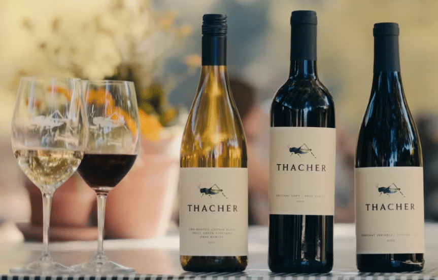 Cup of tea and open book relaxing moment at Whitefish retreat