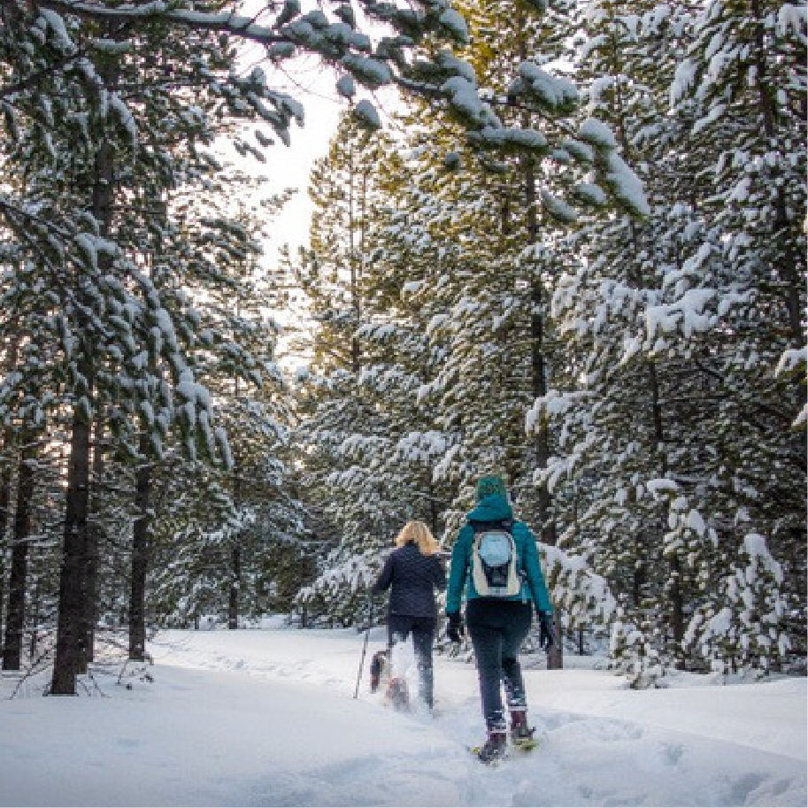 Two women snowshoeing in the woods near Whitefish Montana